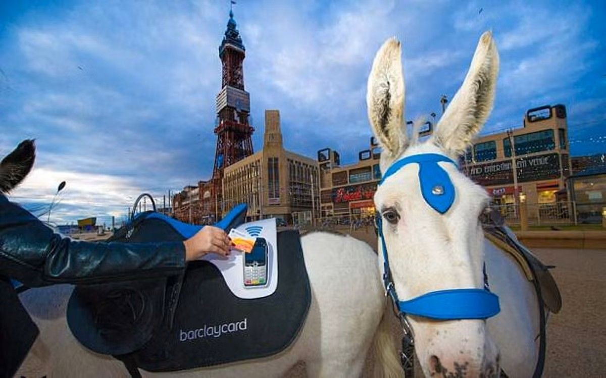 Donkey with Barclaycard Controller 